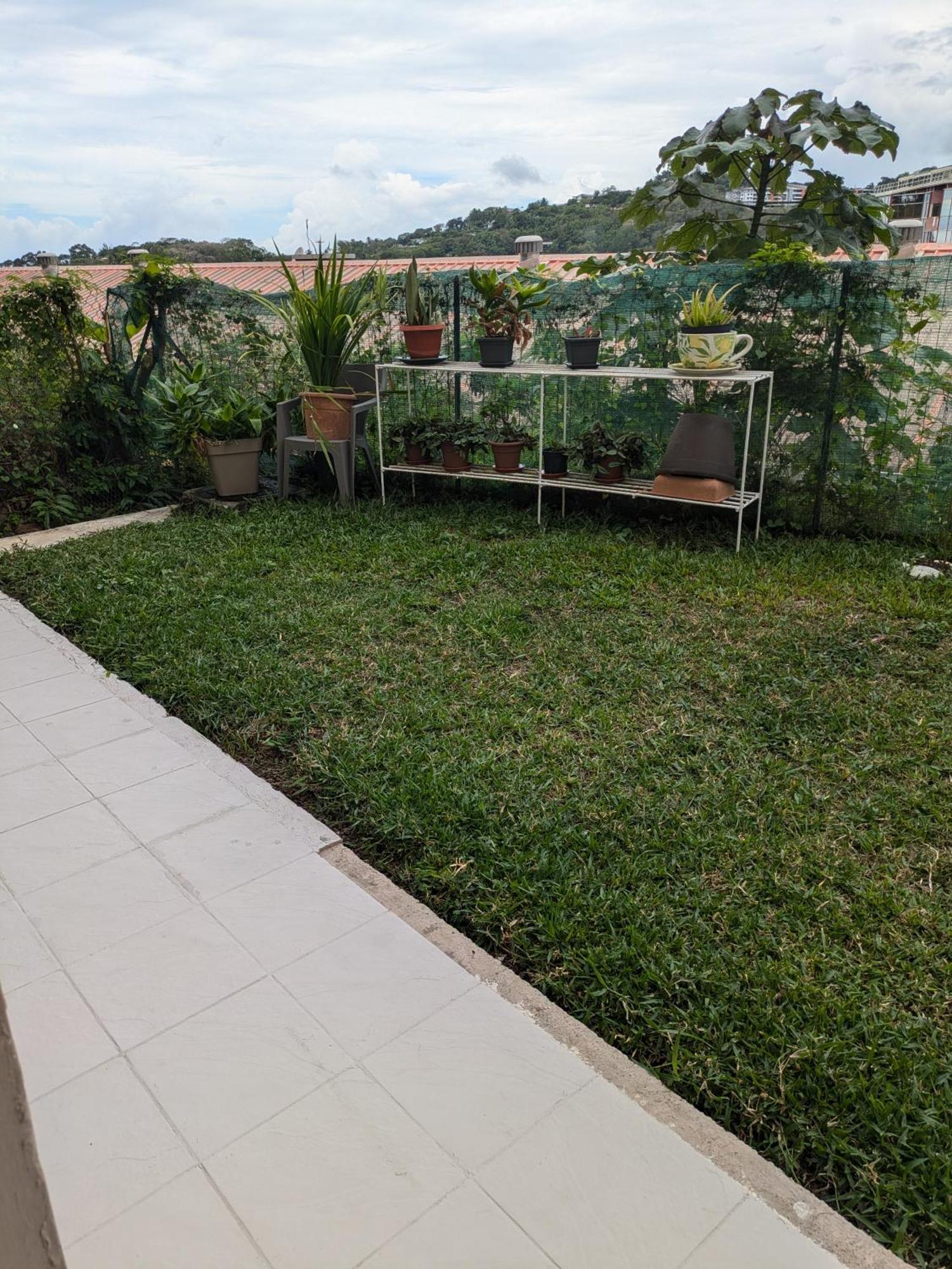N'Jok Papeete Apartment Papeete  Exterior photo